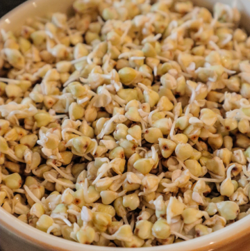 Sprouted Buckwheat