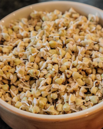 Sprouted Buckwheat