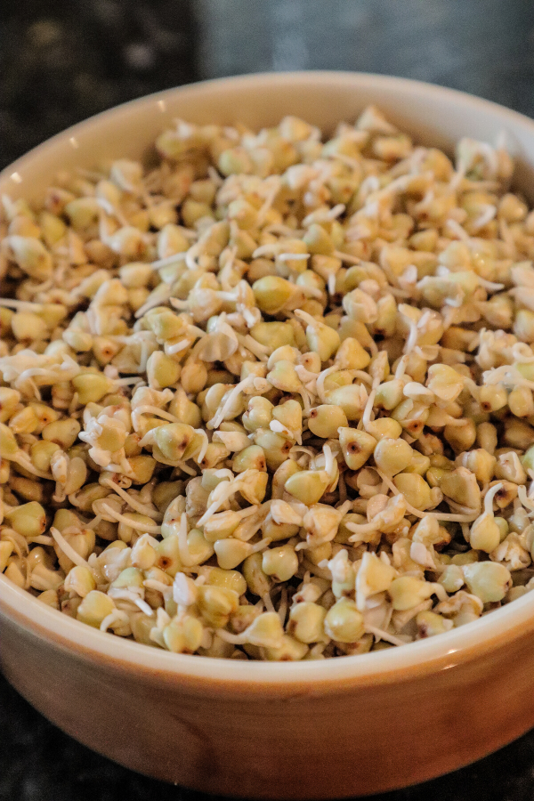 Sprouted Buckwheat