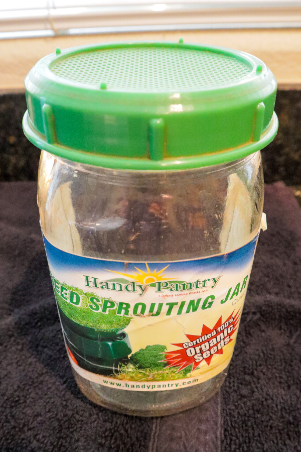 Sprouting Jar